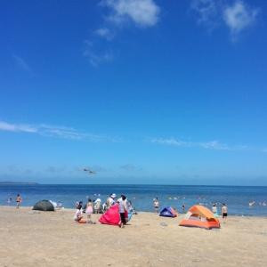 白白是外星狗狗