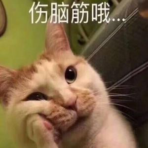 号号麦
