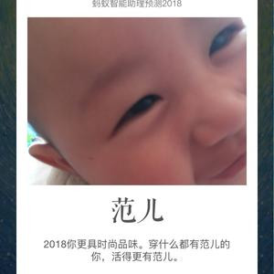 老高