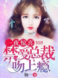 一夜惊喜:禁爱总裁吻上瘾