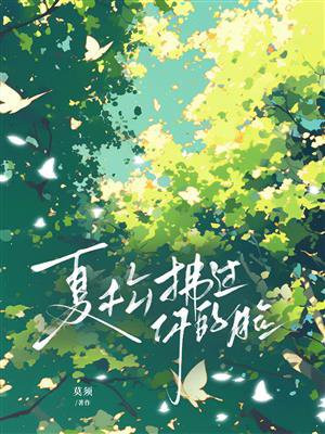 夏松拂过你的脸
