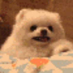 爱莲说
