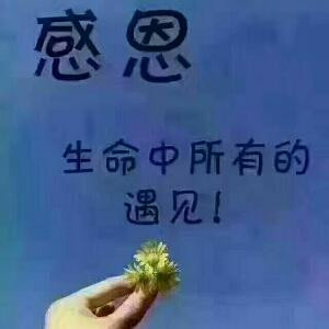 随缘随性