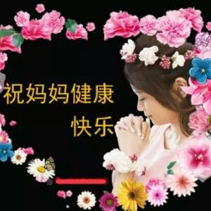 小懒猪