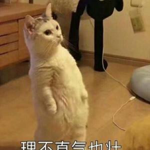 不码字就没饭吃