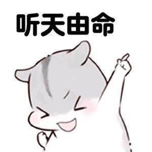 骁十七