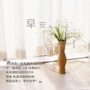 暮雪依依