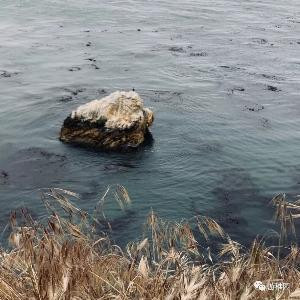 会说话的机器人