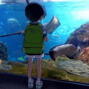 继续九点半粗糙