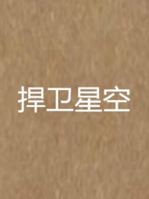 捍卫星空
