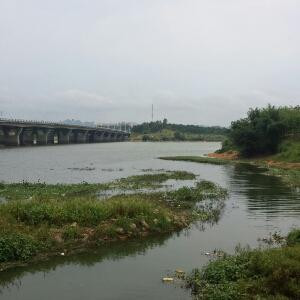 麒麟
