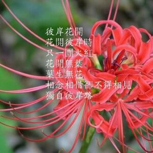 幻时间逆转