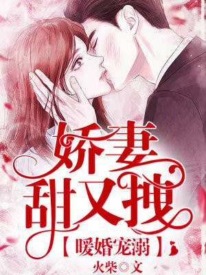 暖婚宠溺:娇妻甜又拽!
