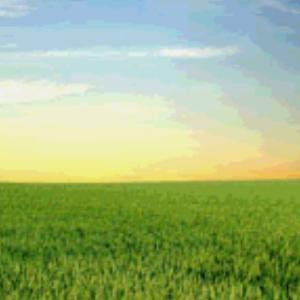 风雨之中待你归