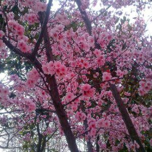 限量版的无聊