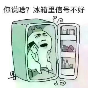飞鱼