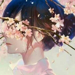 灿蝶