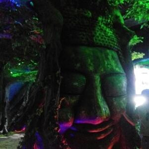 摇头奔驰