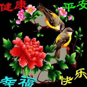今夜无人入睡