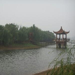 林亭看雨