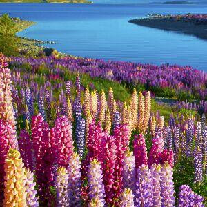 奋斗……幸福(≧3≦)