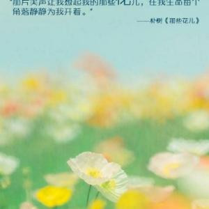 丫丫