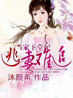 当家下堂妃:逃妻难追