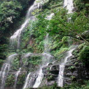 偏偏