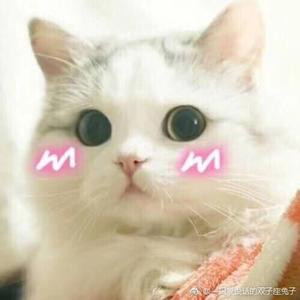 豆子