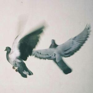 闲花野草逢春生