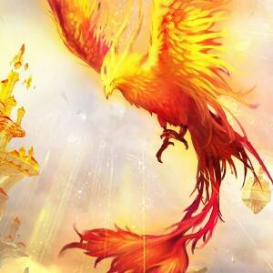 虫虫 口梦随缘口