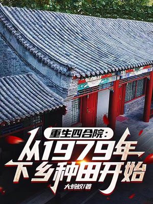 重生四合院:从1979年下乡种田开始