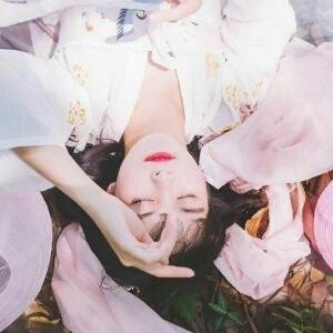 昭梦为马