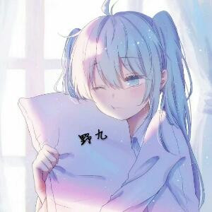 野九