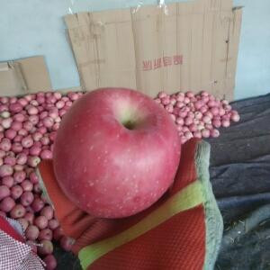爱我所爱1314
