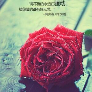 落叶的忧伤