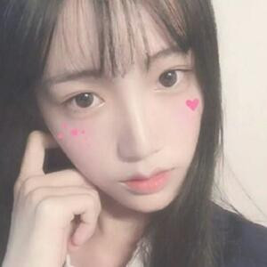 西岛猫纪年