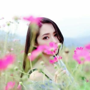 只为一本好书