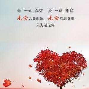 红尘最无言