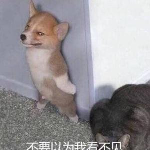 鑫錵弩匚