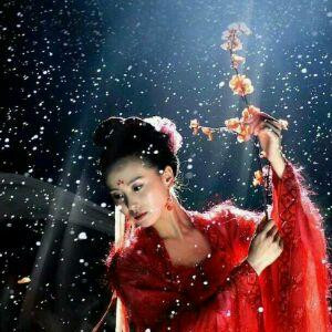一袭染尽红尘衣