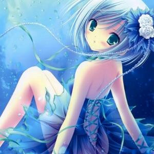 求抱养的小猫咪