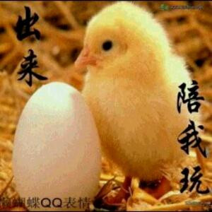 书虫i210239231