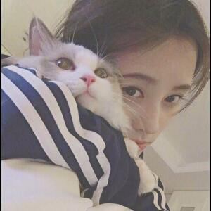 吉莉