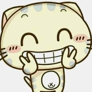 连借口都没有