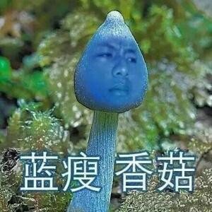 肉肉