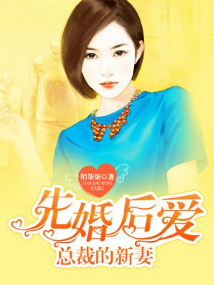 先婚后爱：总裁的新妻