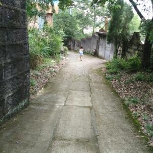 i22689557小嘟嘟