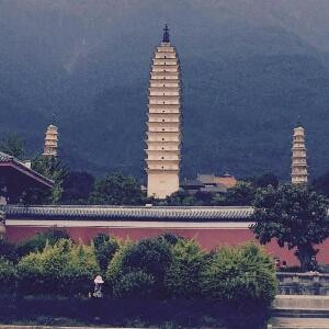 与书为友