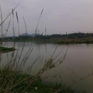 夏沫